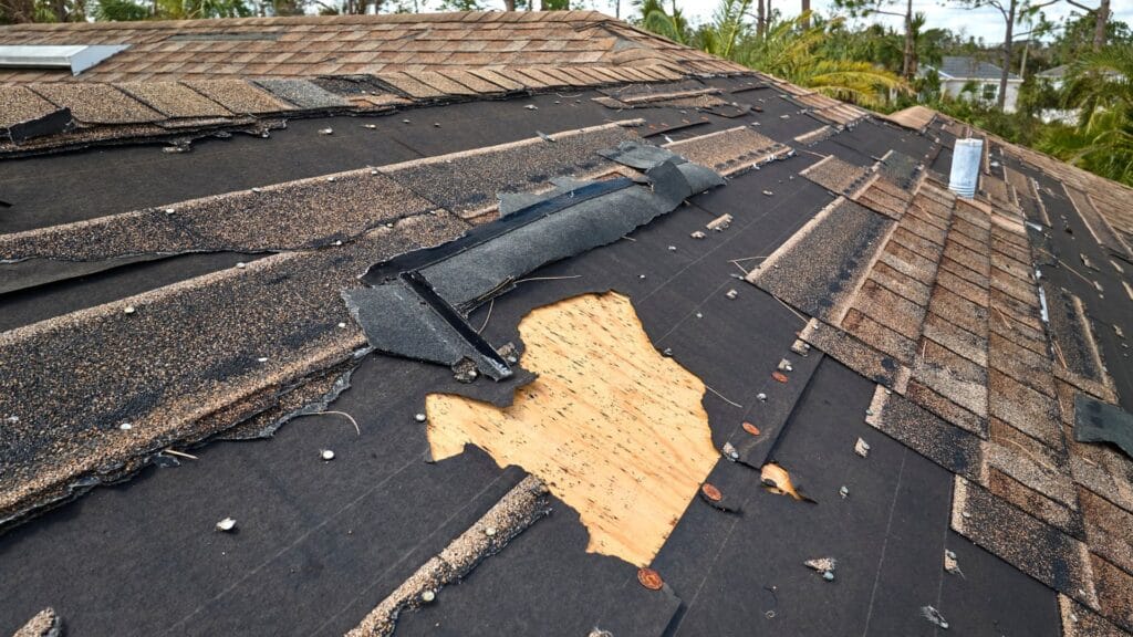 What to Do if You Spot These Roofing Issues